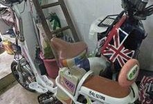 电动车东莞事件最新爆料,真相再起波澜，疑云重重待解