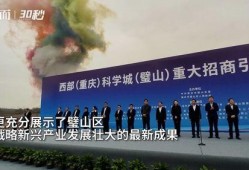 重庆公司最新爆料,最新爆料背后的故事与影响