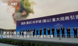 重庆公司最新爆料,最新爆料背后的故事与影响