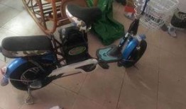 电动车东莞事件最新爆料,真相再起波澜，疑云重重待解